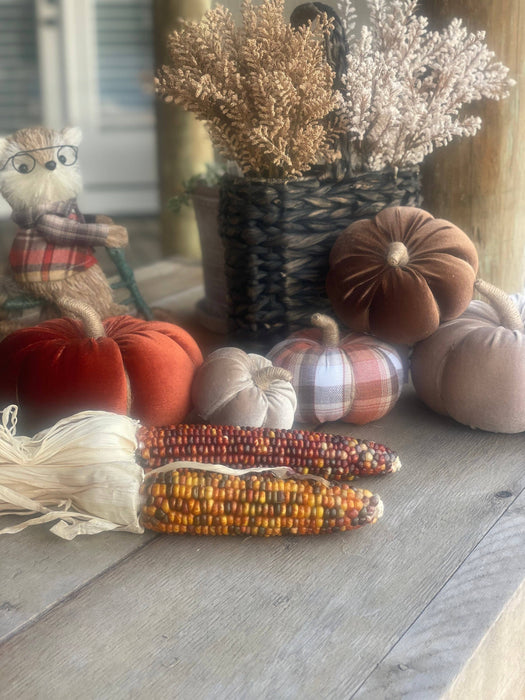 Lrg. Desert Velvet Pumpkin
