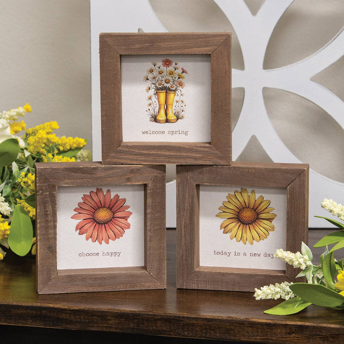 Daisy Spring Framed Sign