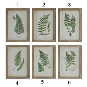 Framed Fern Fronds - IN STORE PICKUP ONLY
