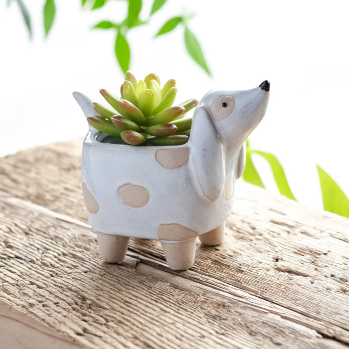 Dog Planter