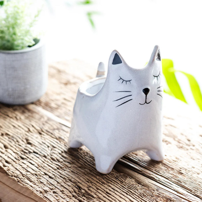 Pots/Planters