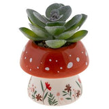 Shaped Succulent Pots - 7 Styles