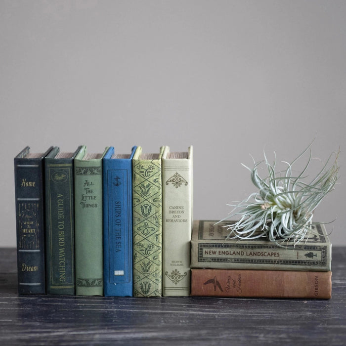 Book Storage Box