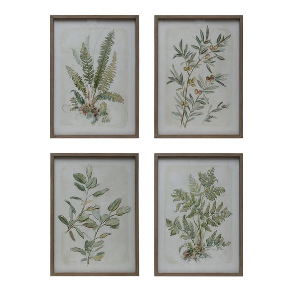 Framed Botanical Prints - IN STORE PICKUP ONLY